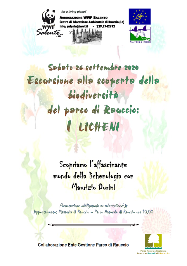 WhatsApp_Image_2020-07-24_at_17.48.48 WhatsApp_Image_2020-07-24_at_17.48.48