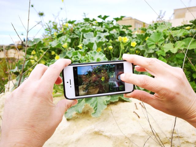 CITY_NATURE CITY_NATURE