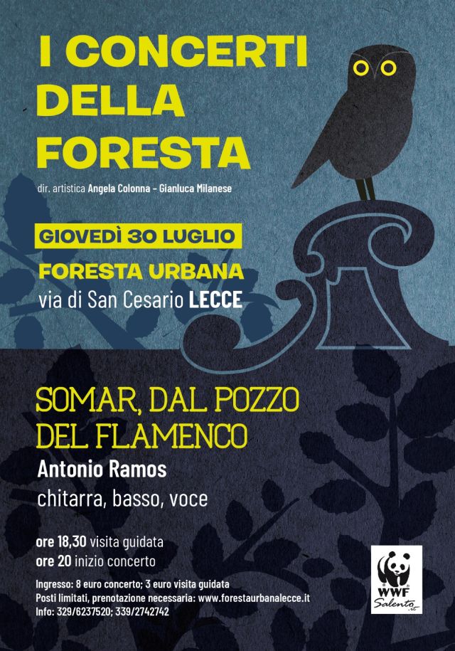 WhatsApp_Image_2020-07-24_at_17.48.48 WhatsApp_Image_2020-07-24_at_17.48.48