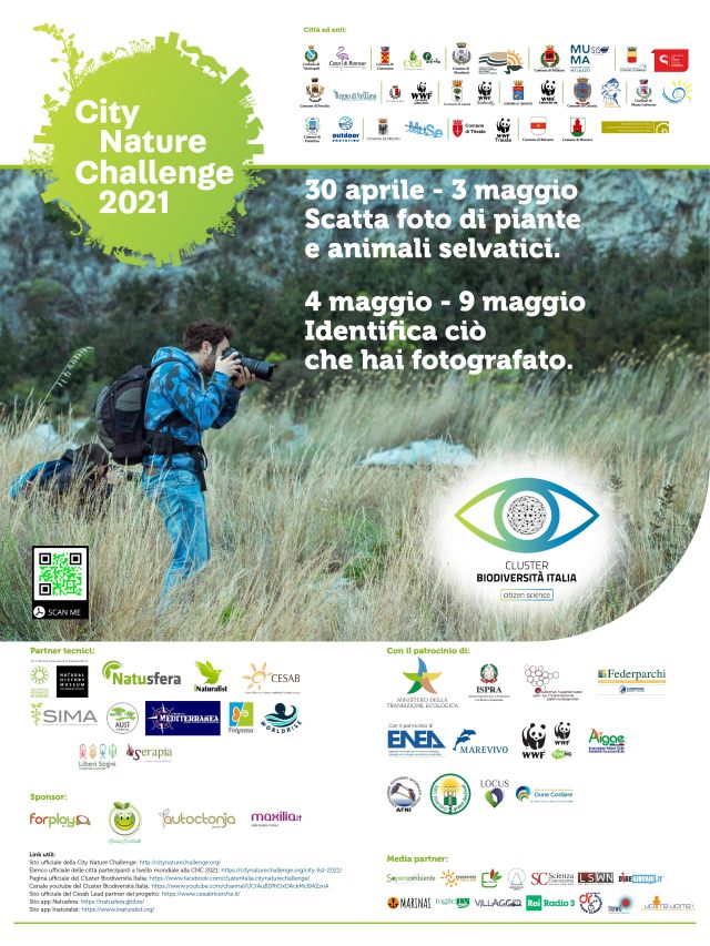 citydef_dol_05 citydef_dol_05